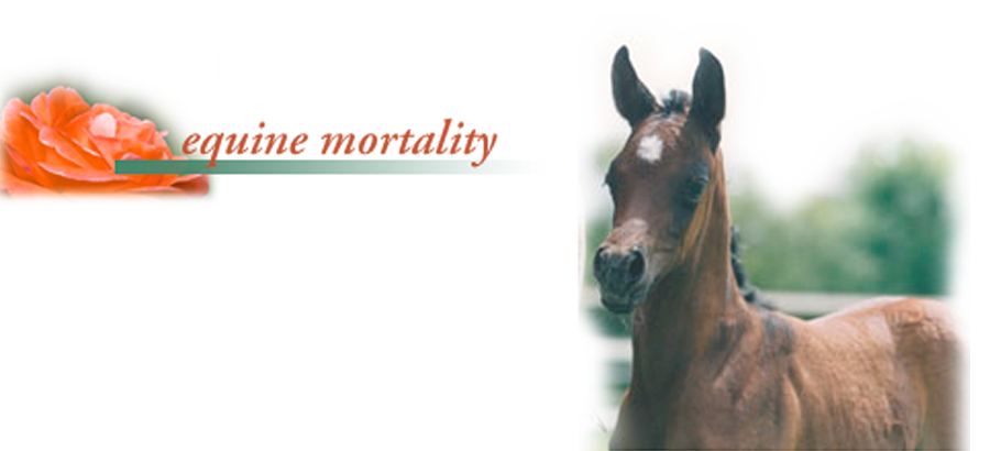 title equine mortality